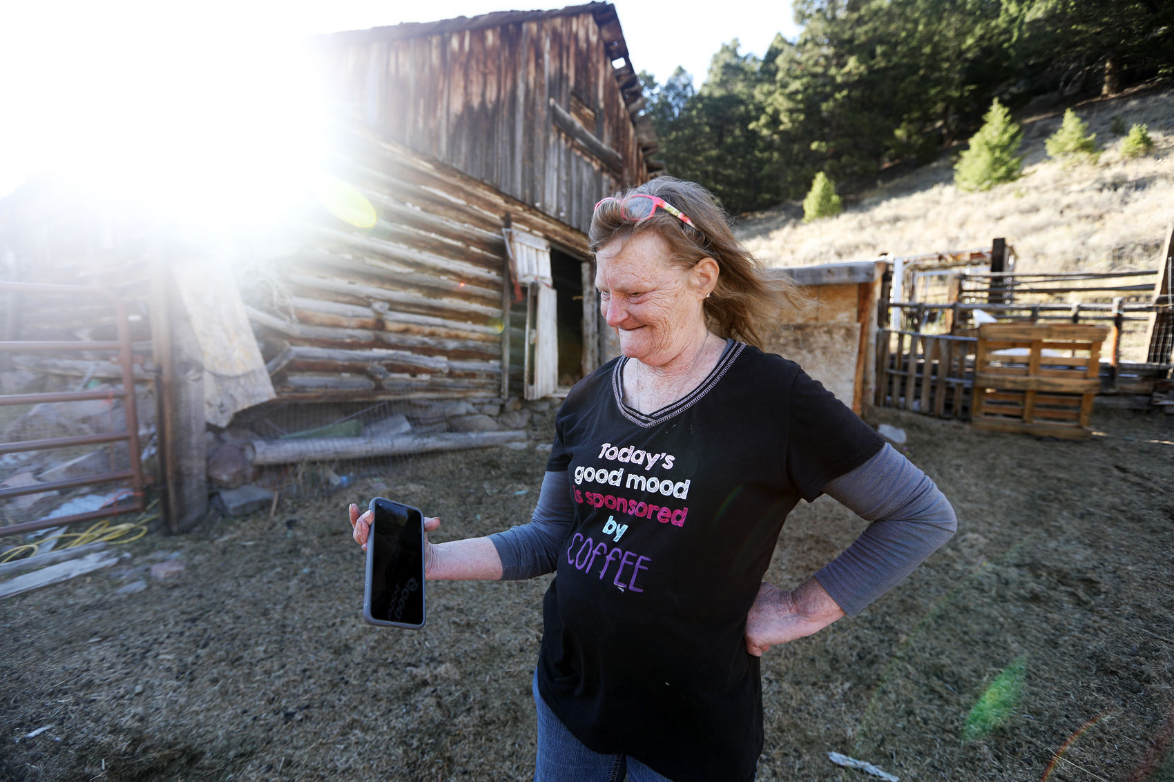 Goats killed in Browns Gulch